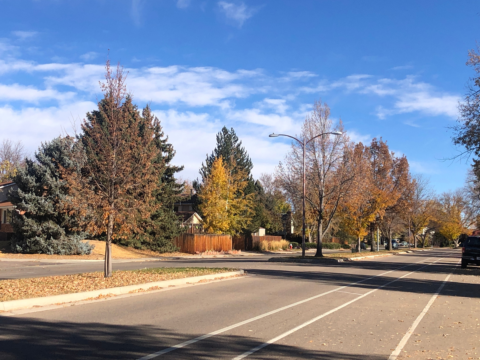 Southmoor Park neighborhood photograph from The 25 Best Neighborhoods in Denver in 2026